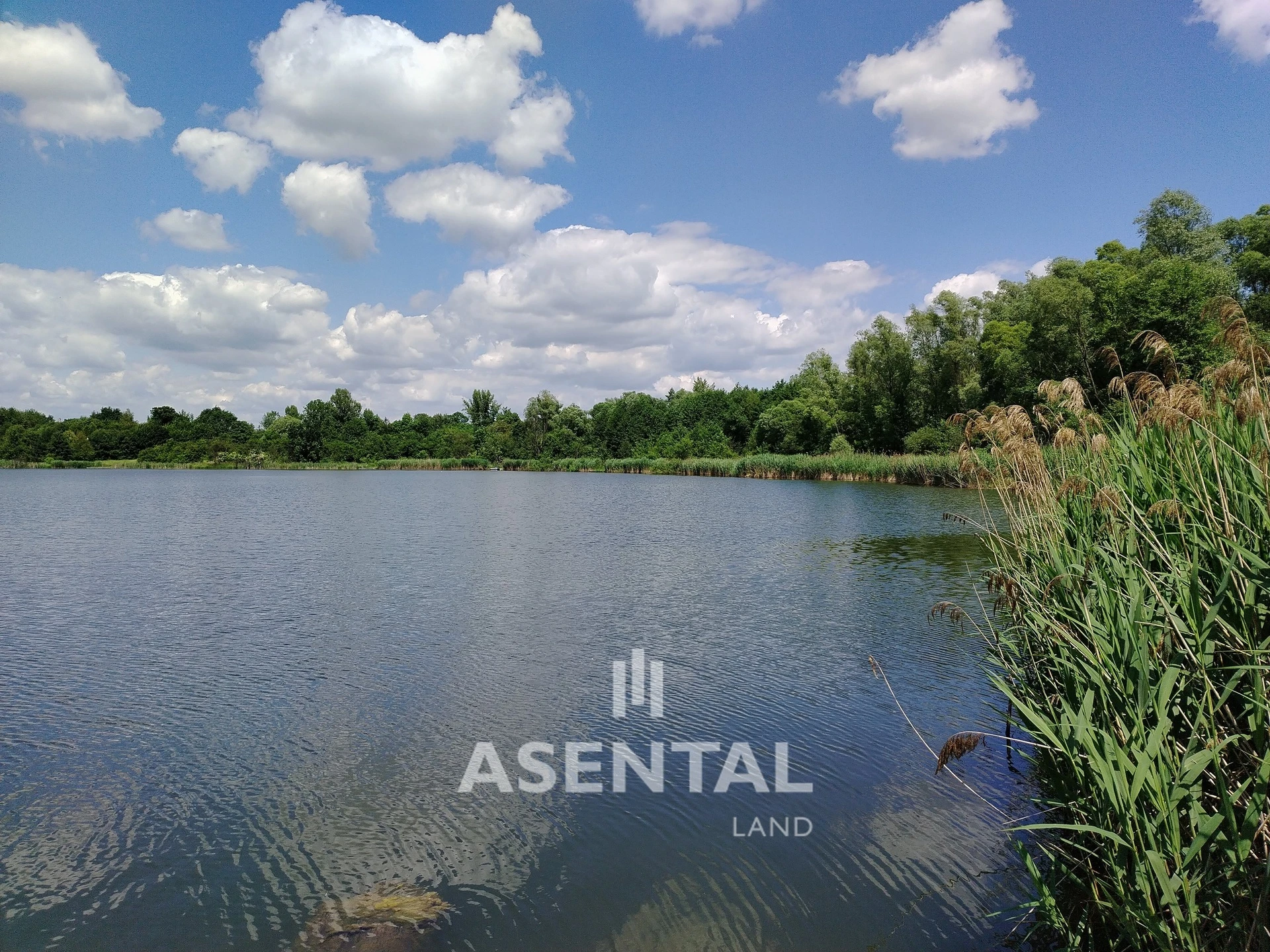 Prodej pozemků, 285 924 m² - Karviná - Louky nad Olší